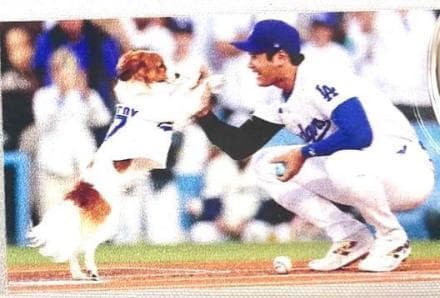 【5個セット】大谷翔平 &デコピン キーホルダー “MVD”ドジャースMLB公式