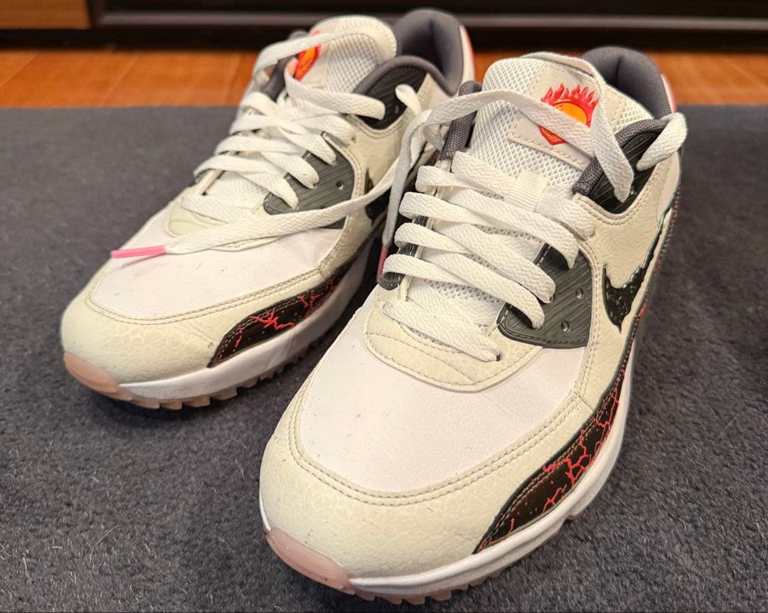 シューズ(男性用) NIKE AIR MAX 90 G NRG (FB5038-160)
