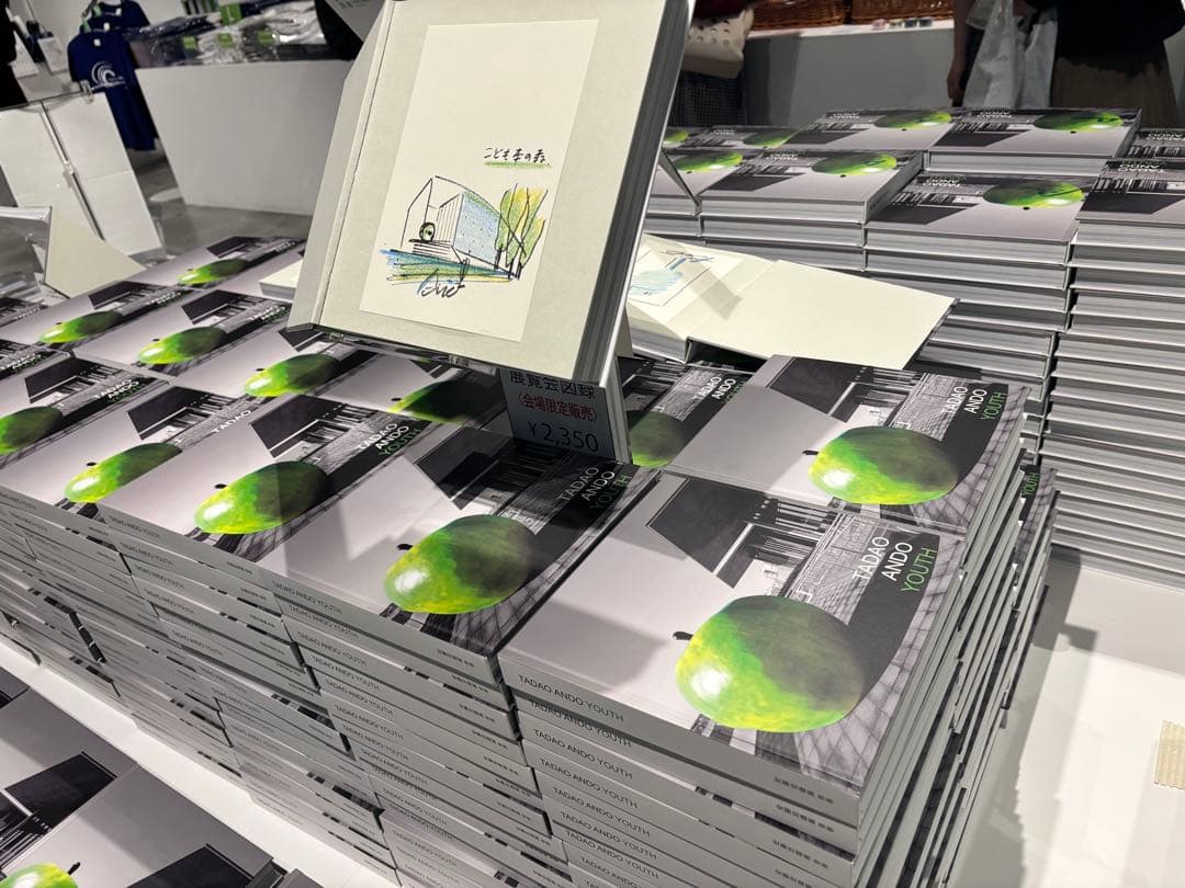 入手不可：安藤忠雄直筆ドローイング＆サイン本 TADAO ANDO YOUTH