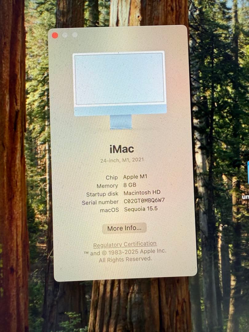 Apple iMac 24 インチ ブルー 元箱付き