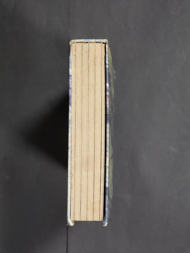 【廃盤19CDbox】オノ・セイゲン （Saidera Paradiso)