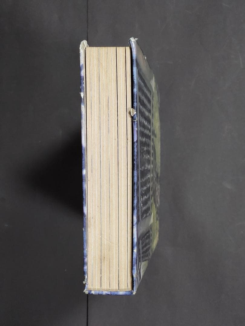 【廃盤19CDbox】オノ・セイゲン （Saidera Paradiso)