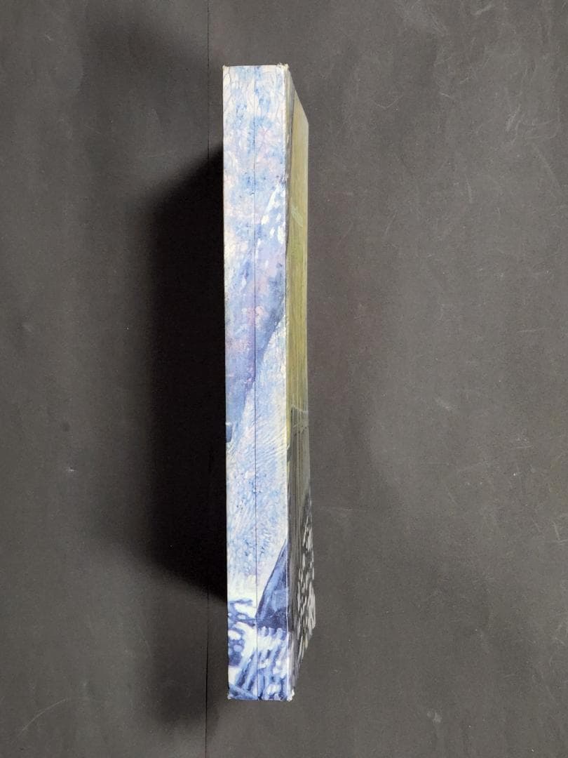 【廃盤19CDbox】オノ・セイゲン （Saidera Paradiso)