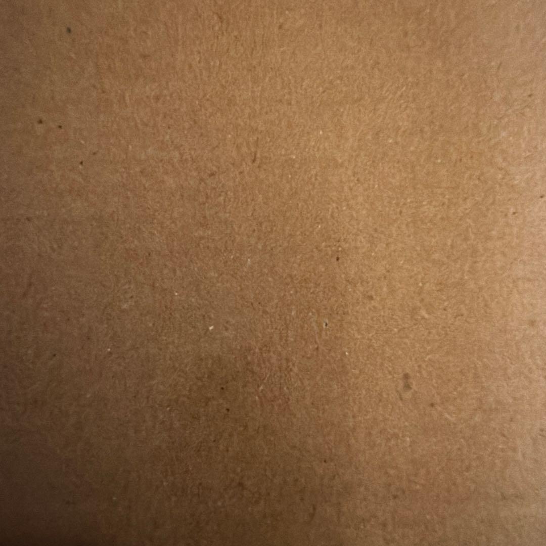 京七宝 並河靖之作品集