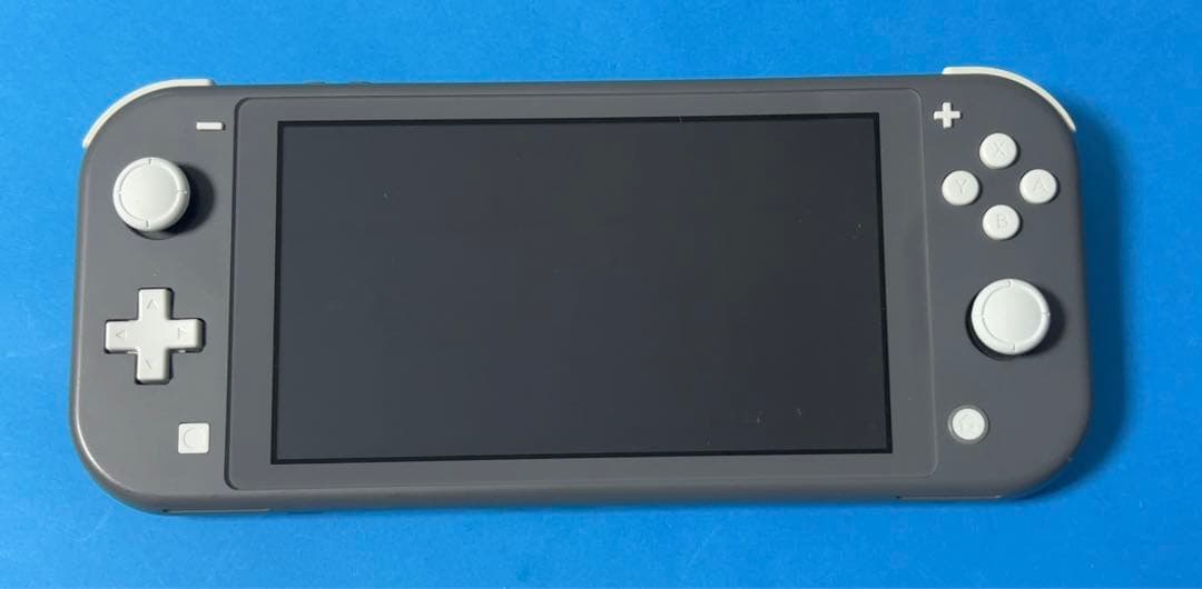 Nintendo Switch Lite グレー 本体 【動作確認済】