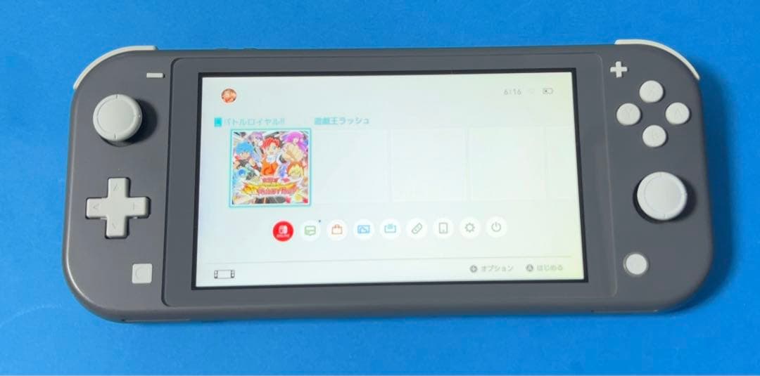 Nintendo Switch Lite グレー 本体 【動作確認済】