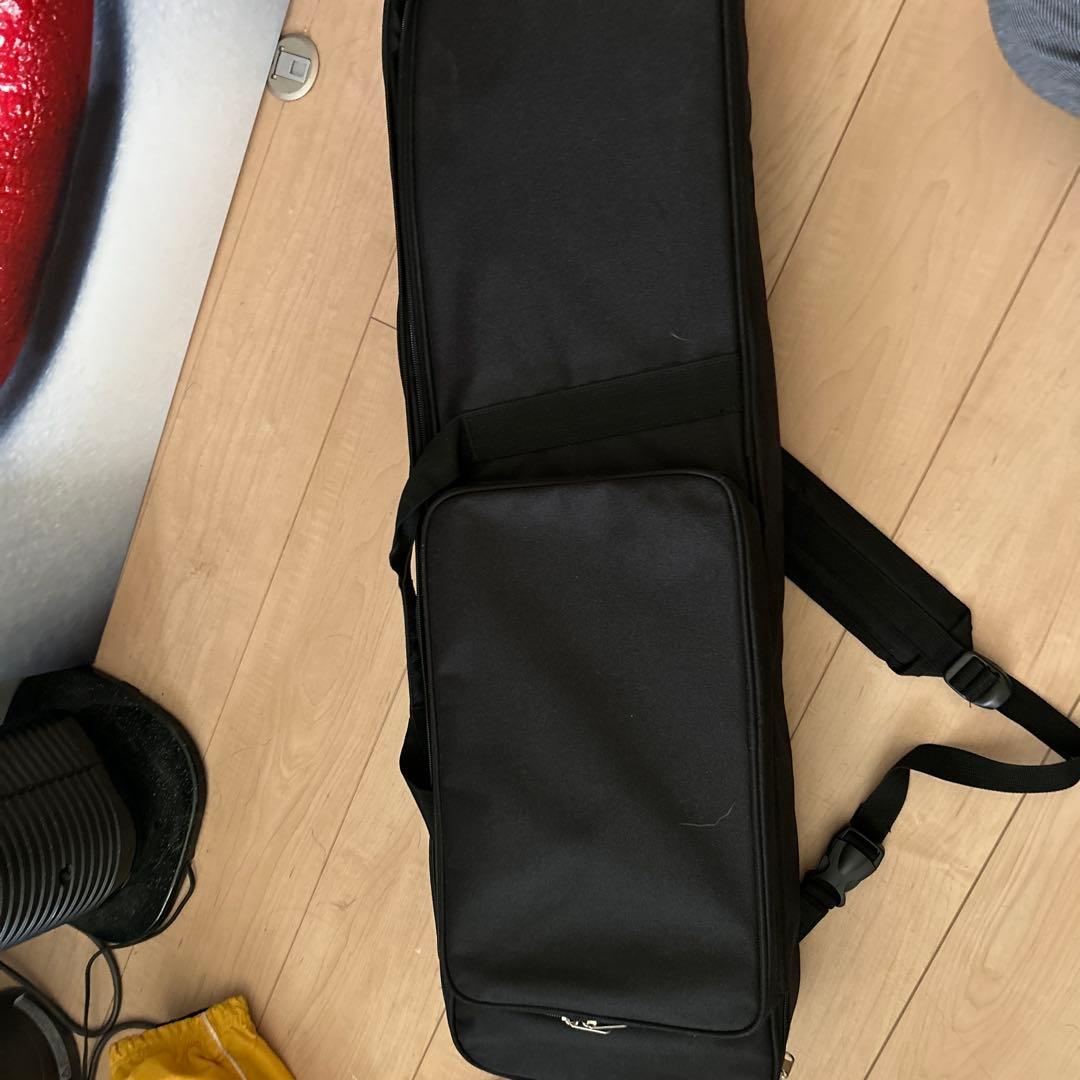 木*下様 沖縄三味線　三味線本体 ヘビ柄 ケース付き