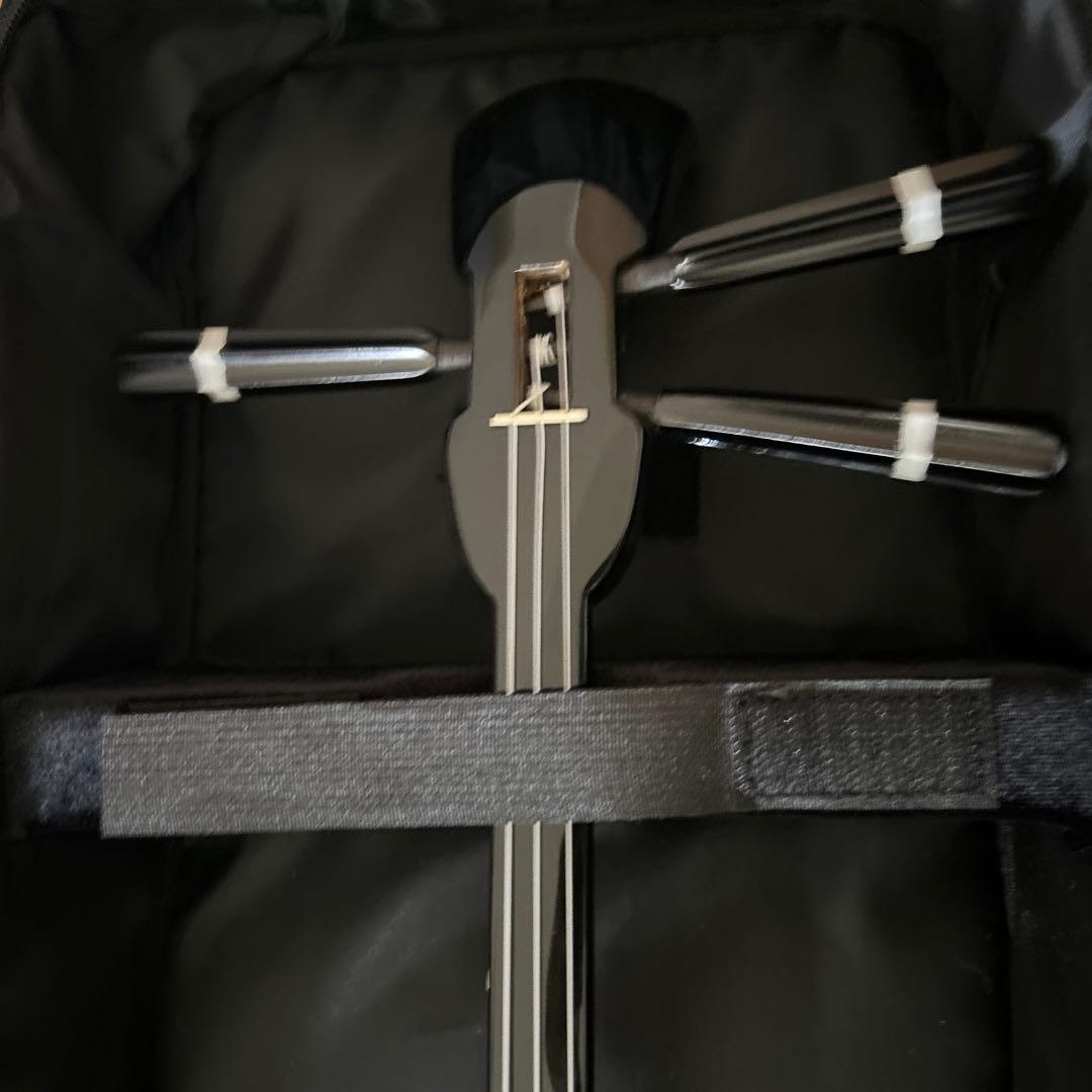 木*下様 沖縄三味線　三味線本体 ヘビ柄 ケース付き