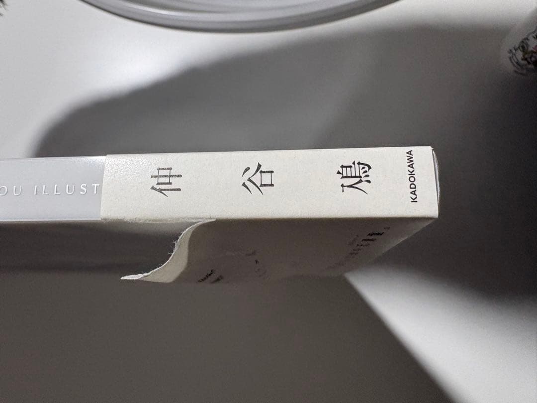 やがて君になる 画集 アストロラーベ 初版 仲谷鳰