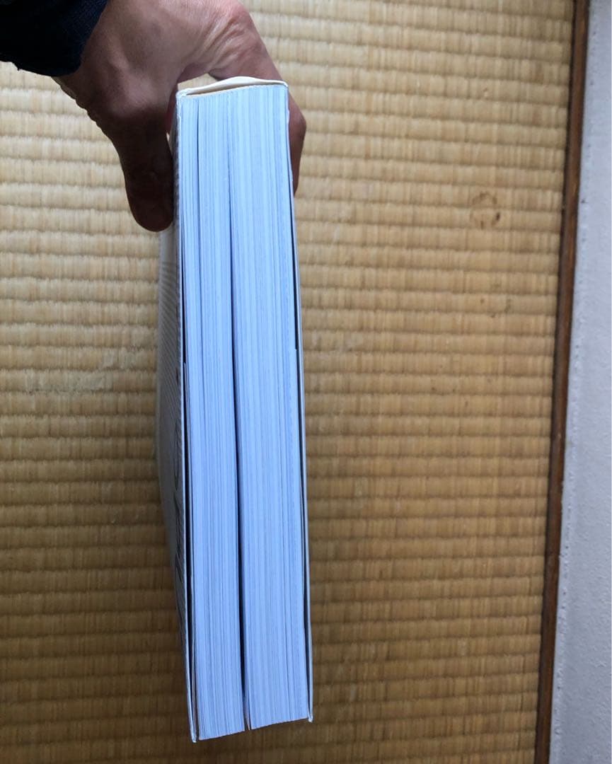 MAKI OPUS - Fumihiko Maki 作品集　槇文彦