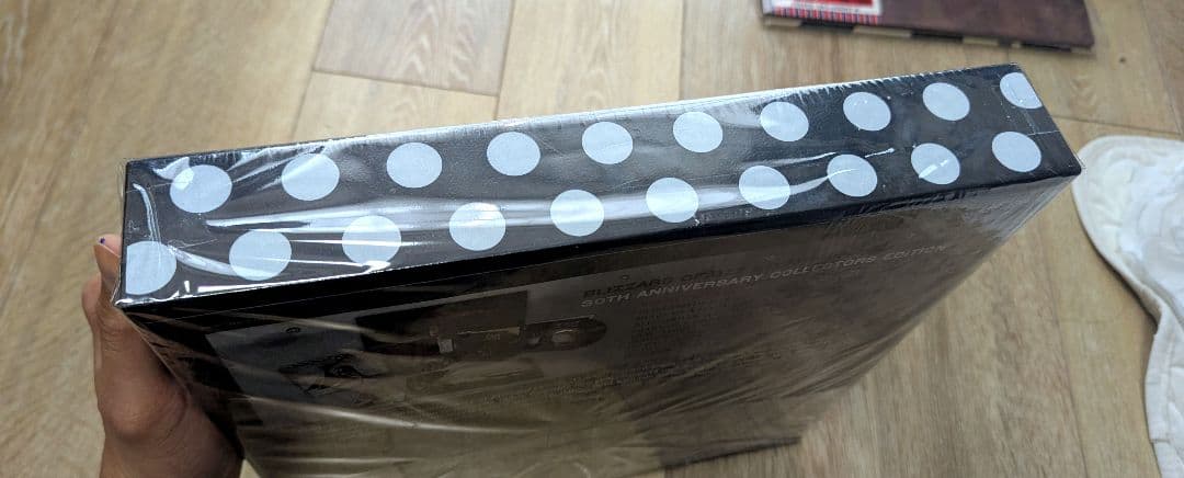 邦楽 OZZY OSBOURNE (BLIZZARD OF OZZ)