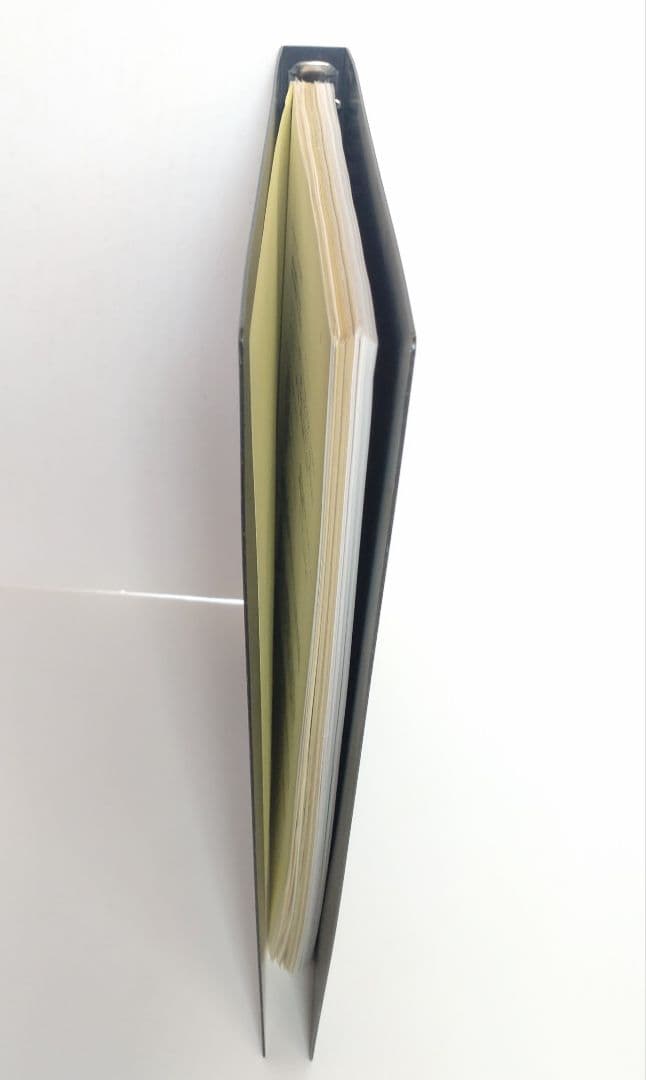 ☆希少☆ 中川貴雄 カイロプラクティック勉強会 テキスト 資料