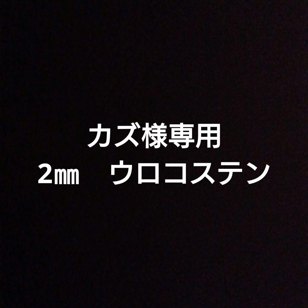 カズ　2㎜ ウロコステン