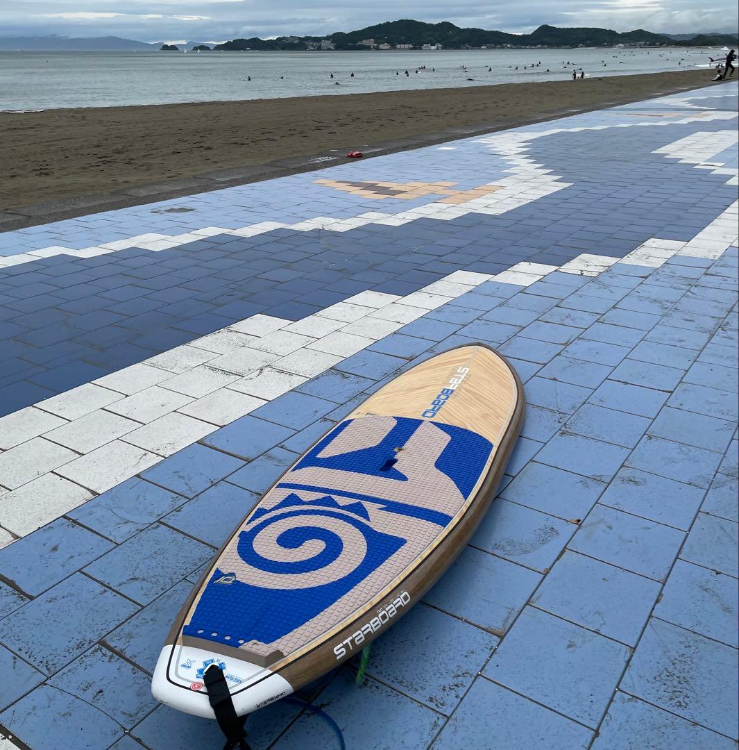 starboard NUT PineTekスターボード ナッツパインテック8.5