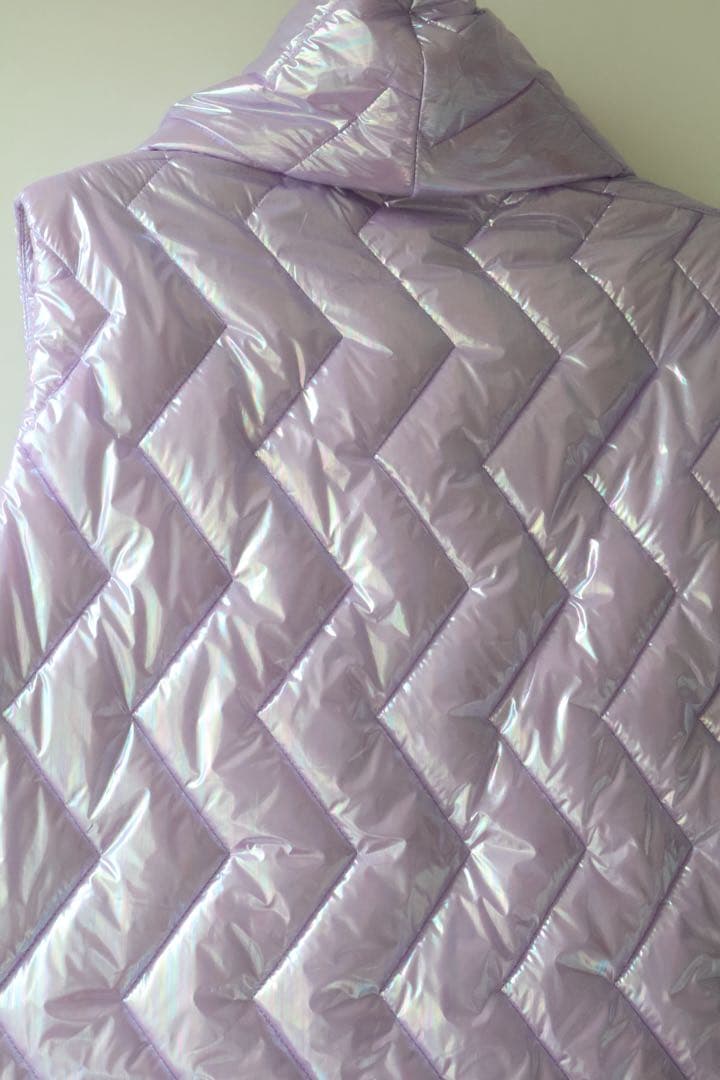 FRANZIUS メタリックダウンベスト