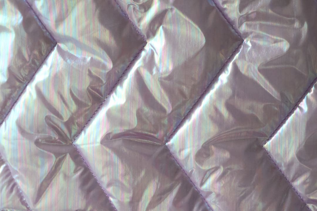 FRANZIUS メタリックダウンベスト