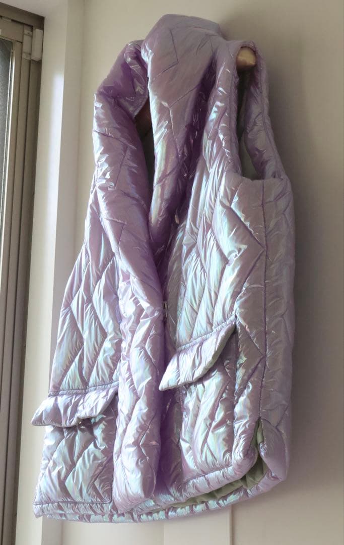 FRANZIUS メタリックダウンベスト