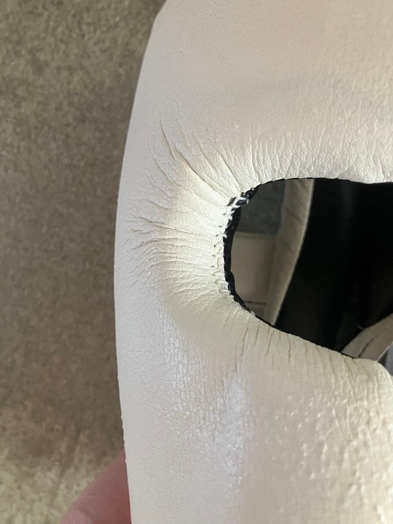 Winning ヘッドギア フルフェイスタイプ ホワイト L FG-2900