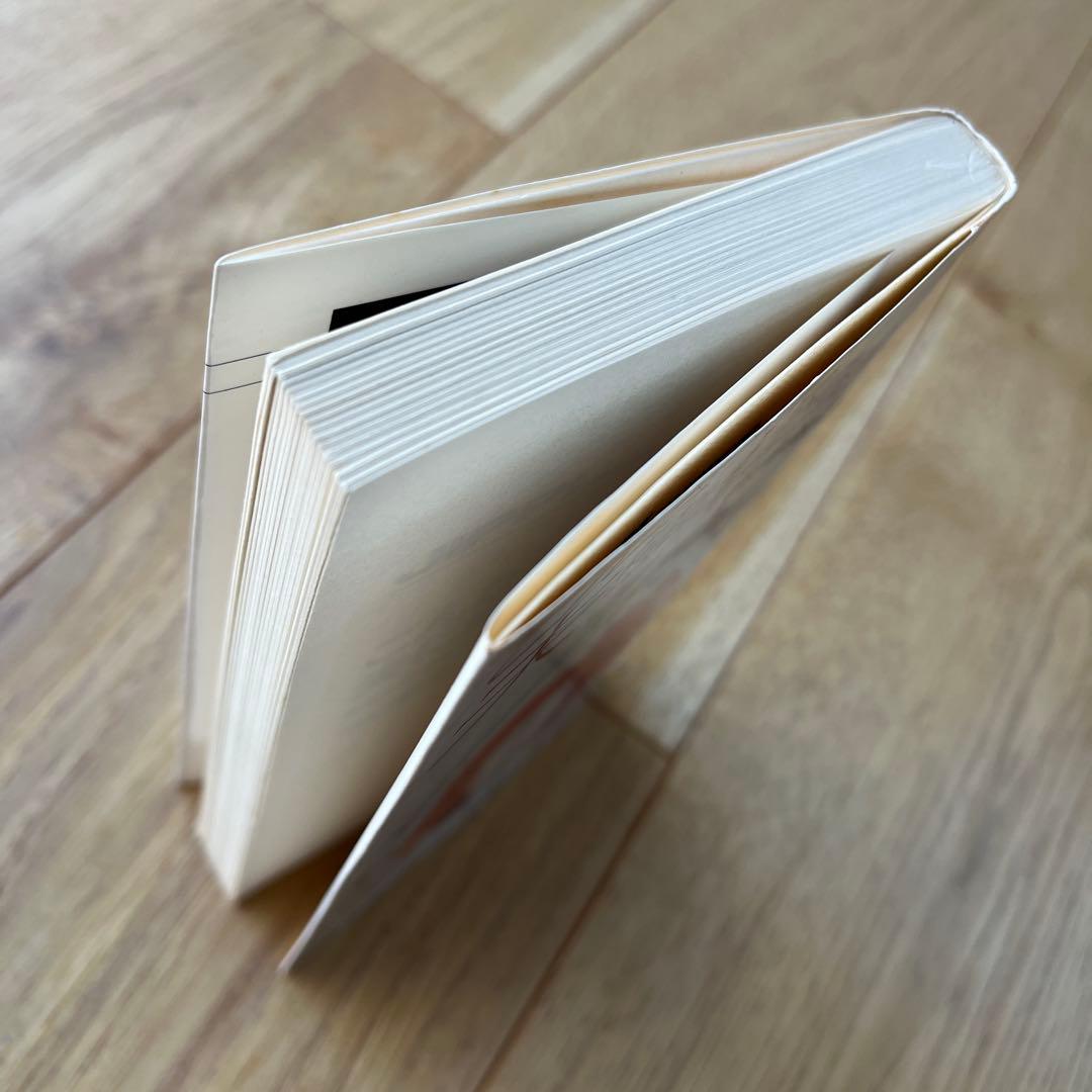 こんな彼は夫に向かない 池坊保子　恋愛　本