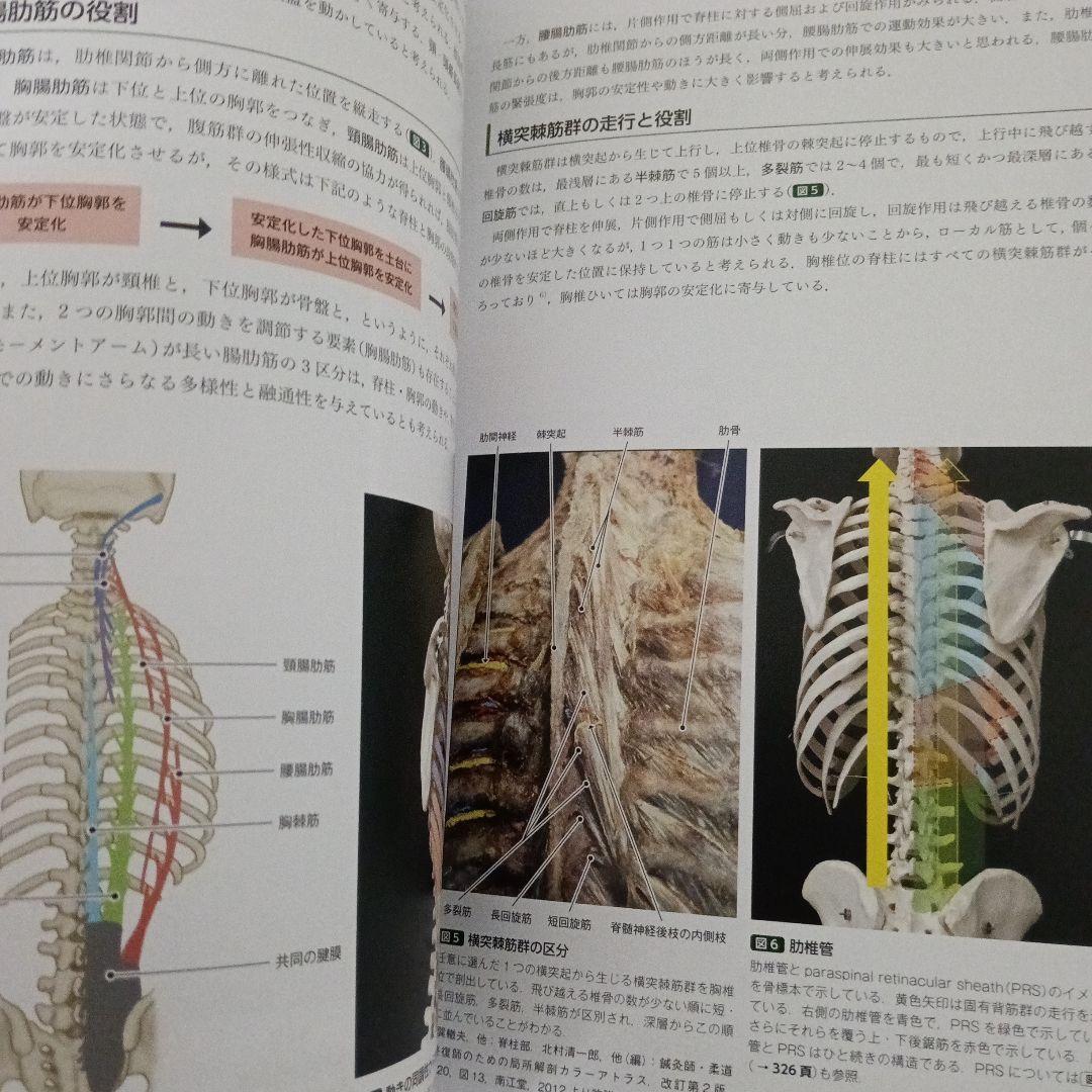 運動療法　その前に！運動器の臨床解剖アトラス