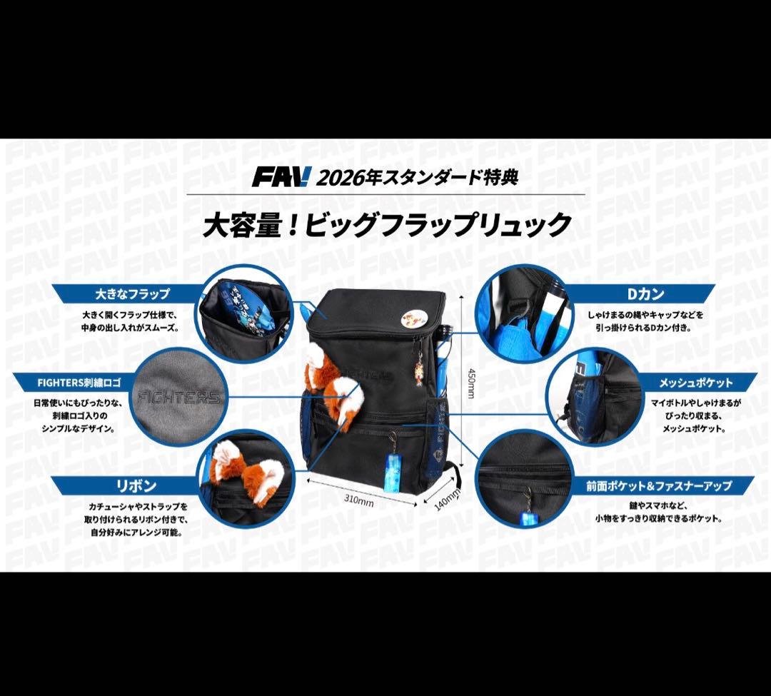 FAV会員特典 ビッグフラップリュック 圧縮ポーチ2枚入り セット