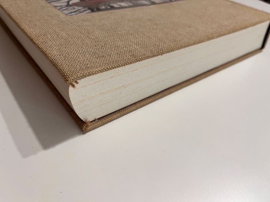 アート・デザイン・音楽 Gerhard Richter Overpainted Photographs