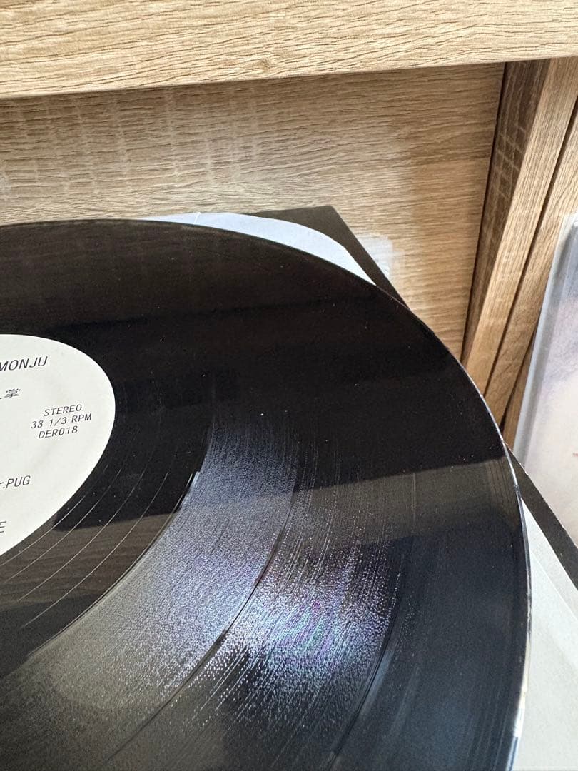 仙人掌 MASTER PIECE 12\" DOGEAR RECORDS 2013