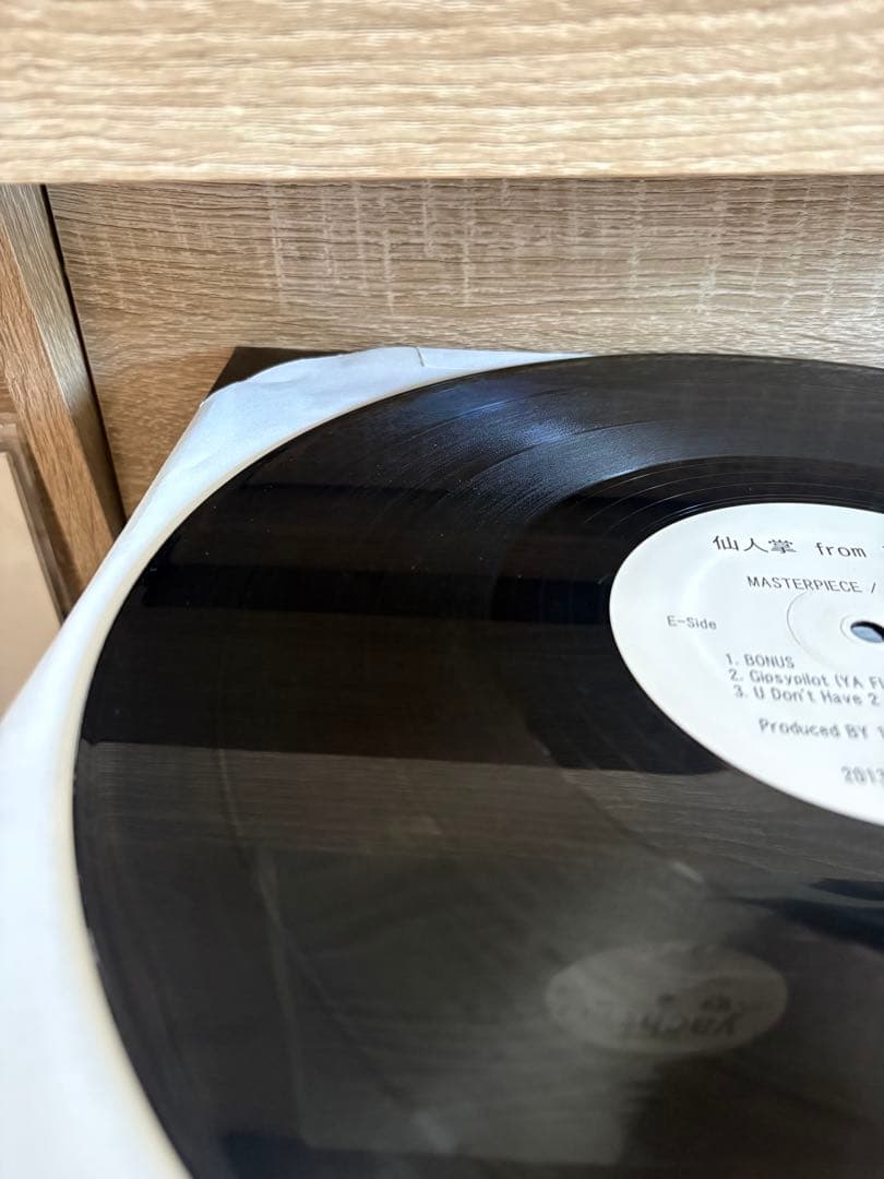 仙人掌 MASTER PIECE 12\" DOGEAR RECORDS 2013