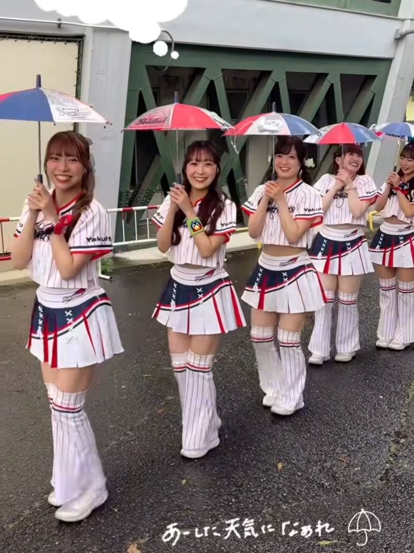 新品未開封つば九郎　マルチポーチ　ぬいぐるみヤクルトスワローズ　正規品　入手困難