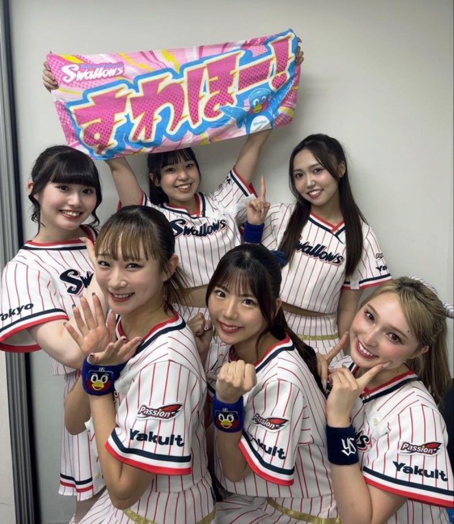 新品未開封つば九郎　マルチポーチ　ぬいぐるみヤクルトスワローズ　正規品　入手困難