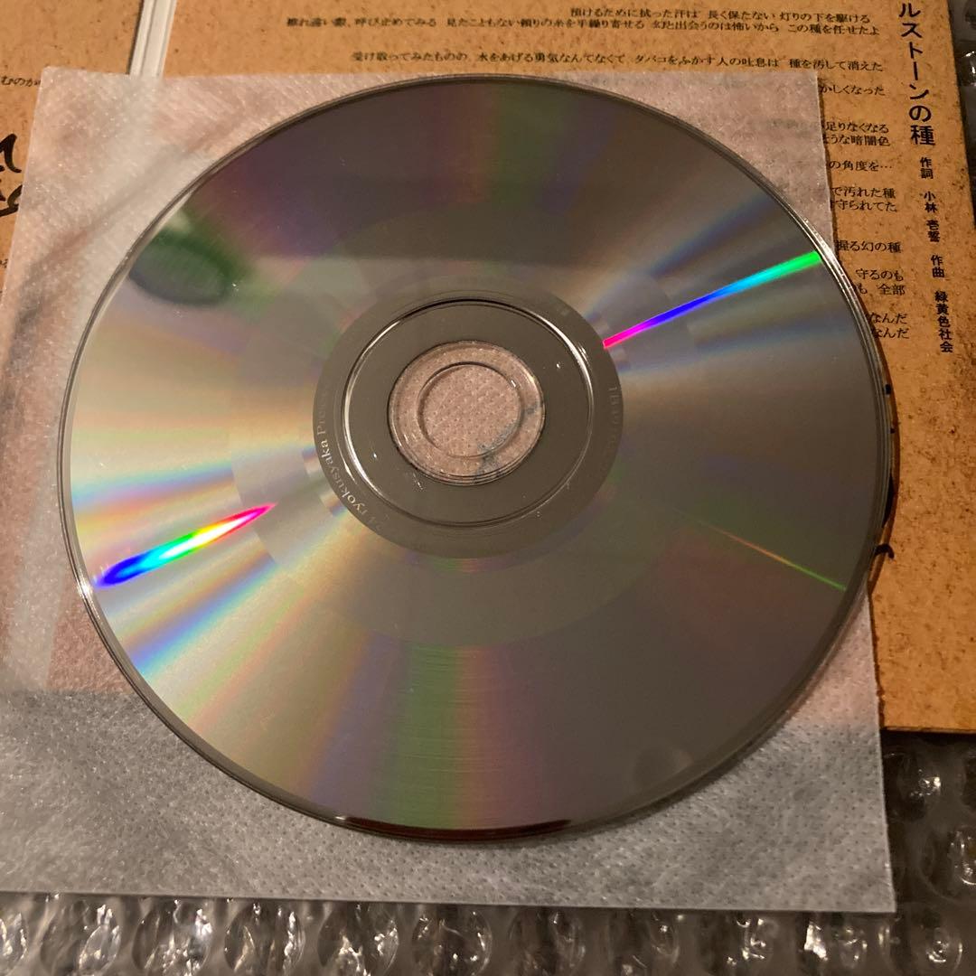 緑黄色社会　ノンカテゴリ　直筆サイン入り