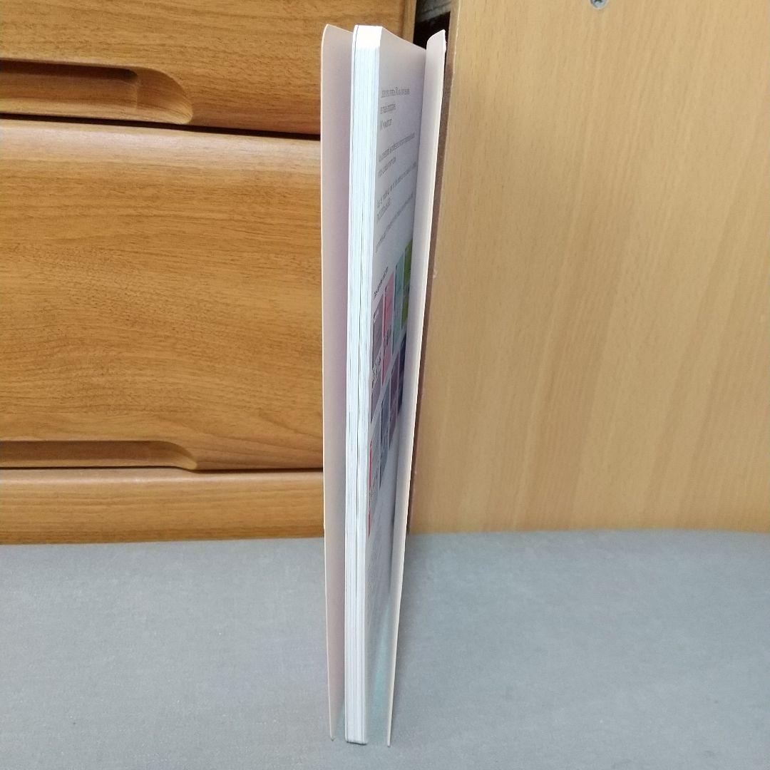 MANGO クロスステッチ図案集 balade de asie フランス語　m2