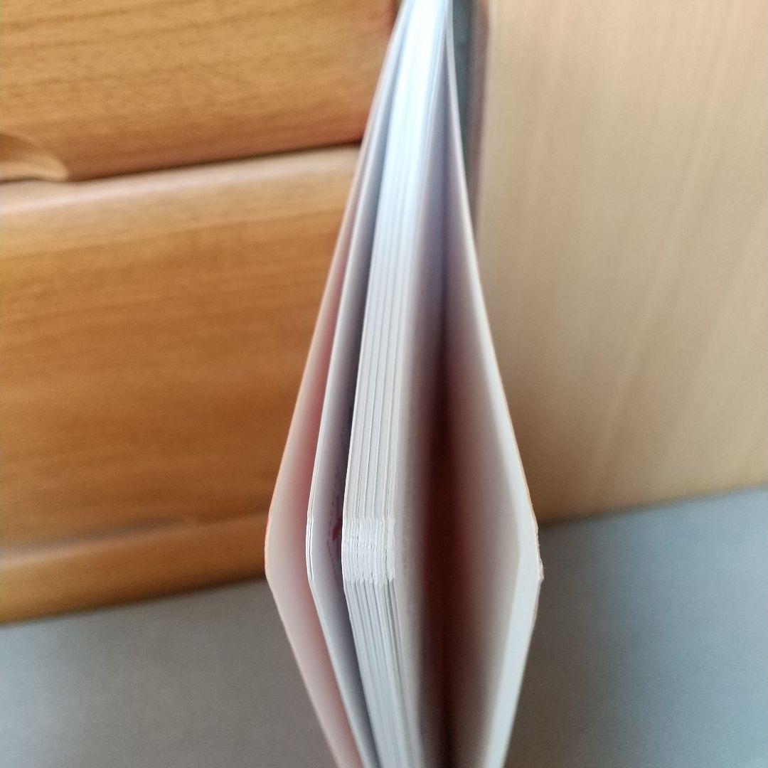 MANGO クロスステッチ図案集 balade de asie フランス語　m2