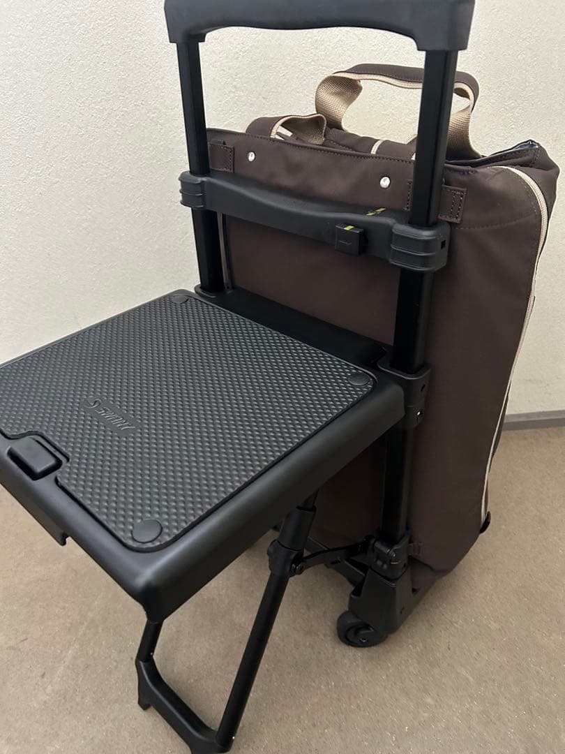 スワニーキャリーバッグLサイズ　イス付き おまけあり
