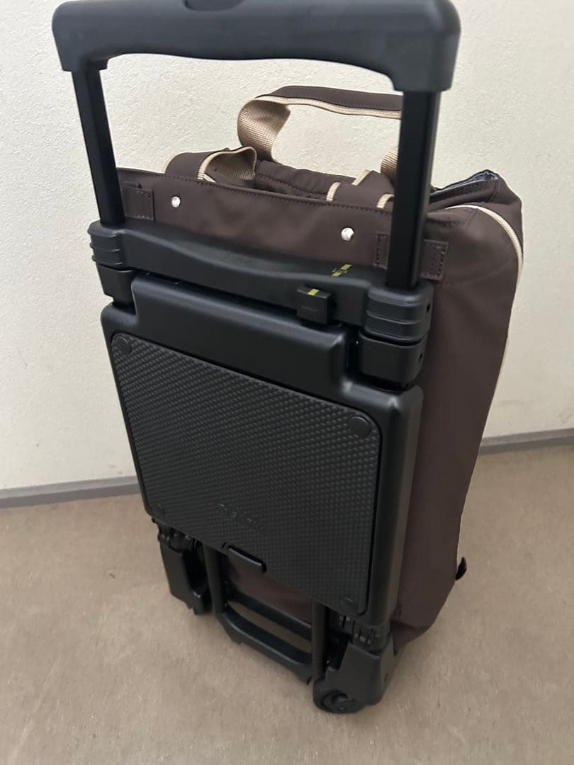 スワニーキャリーバッグLサイズ　イス付き おまけあり