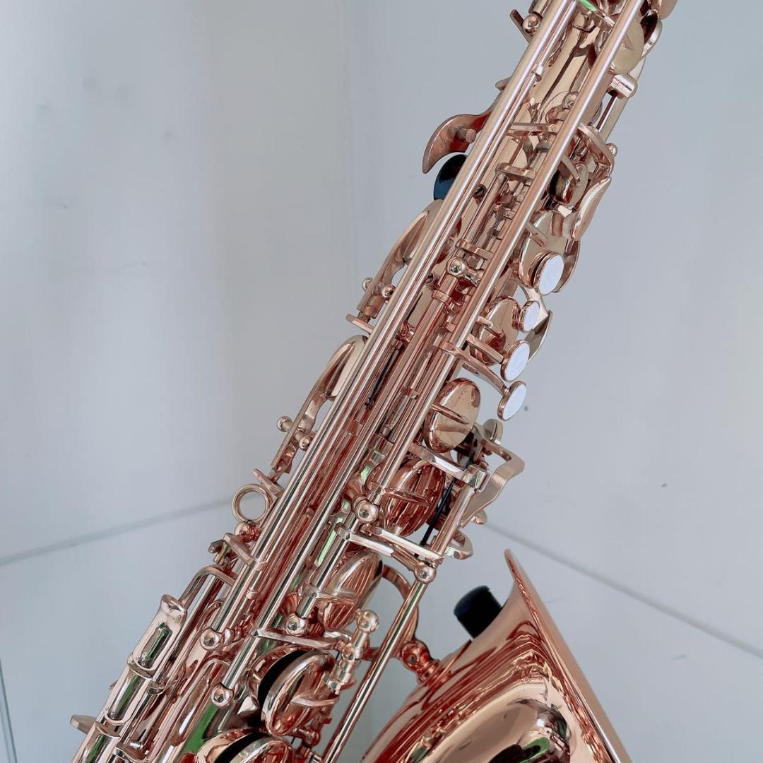 ケルントナー Kaerntner アルトサックス 彫刻入り 管楽器 N2624