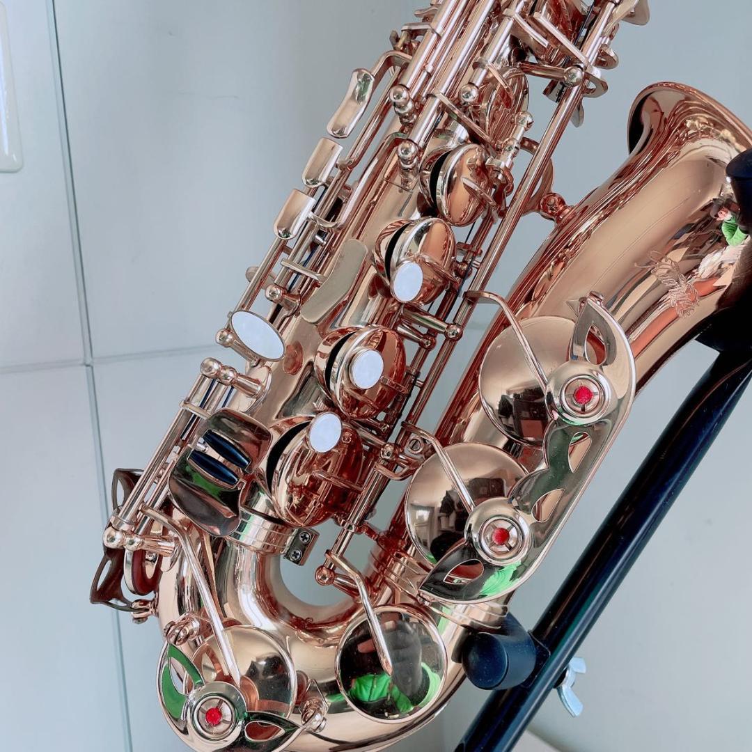 ケルントナー Kaerntner アルトサックス 彫刻入り 管楽器 N2624