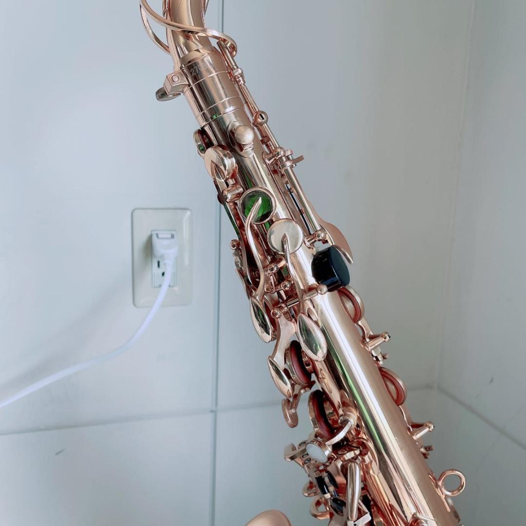 ケルントナー Kaerntner アルトサックス 彫刻入り 管楽器 N2624