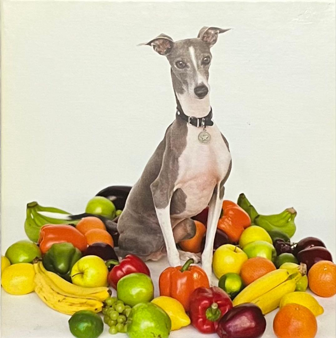 Shellac Steve Albini スティーヴ・アルビニ シェラック CD