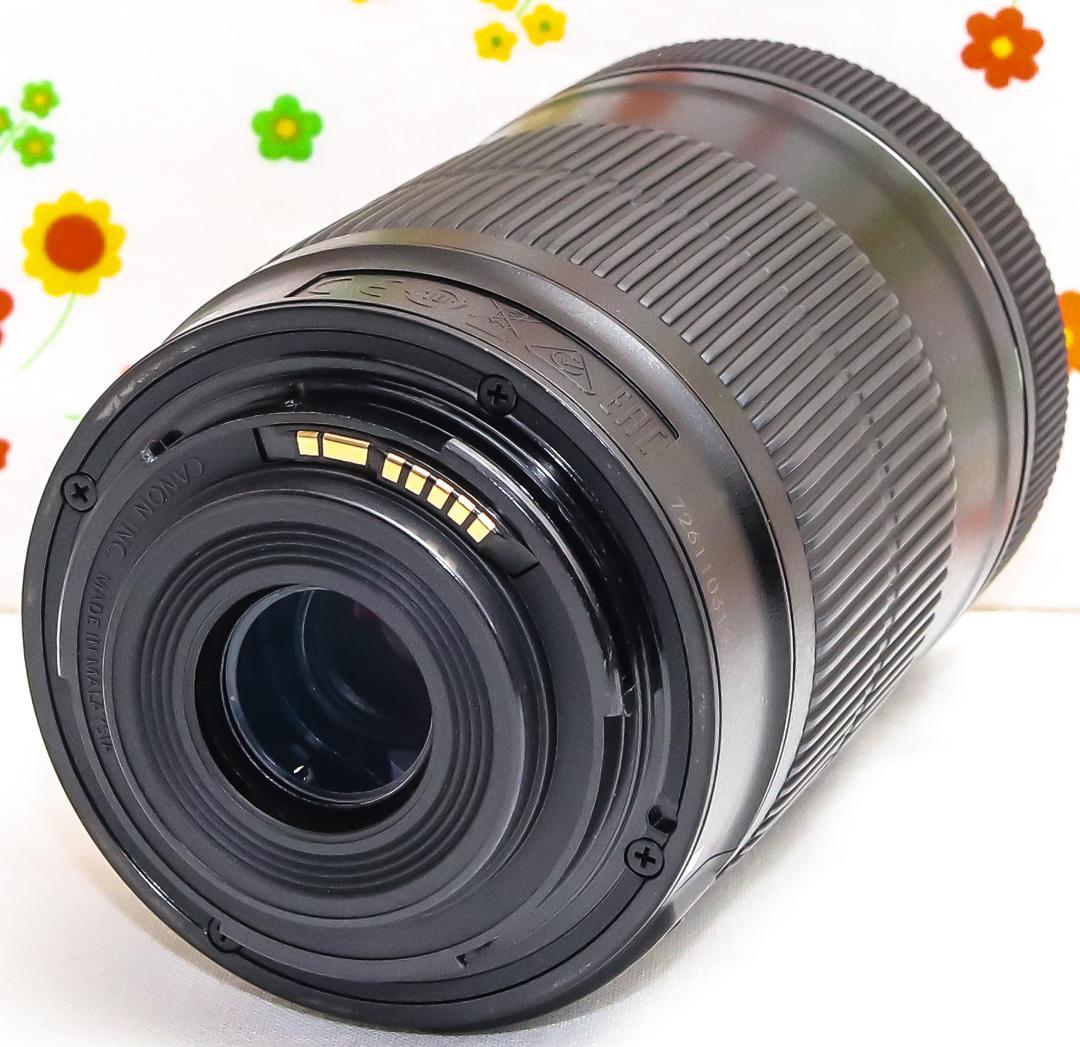 美品☆Canon EF-S 55-250mm IS STM☆超静音望遠レンズ