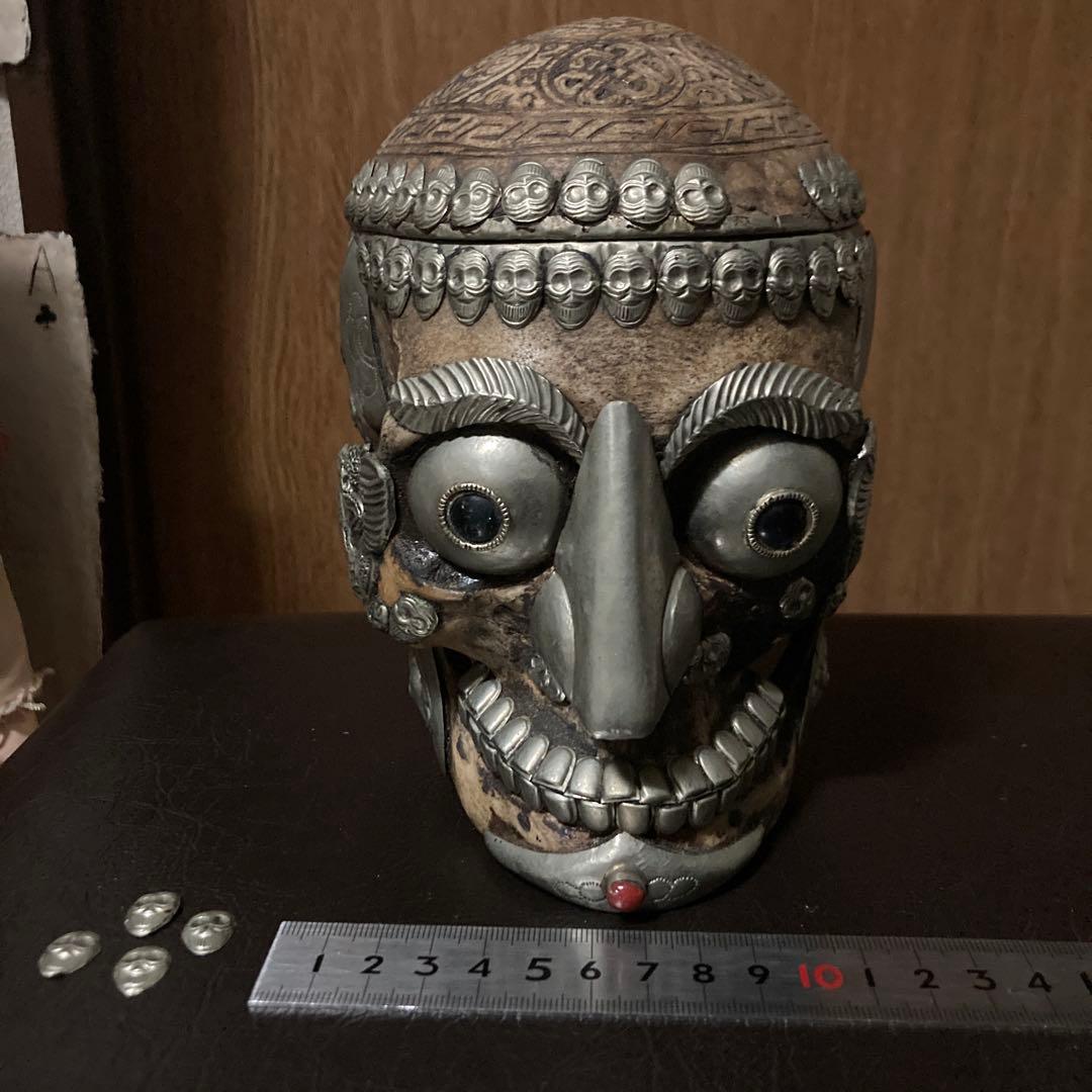 チベタンスカル　頭蓋骨