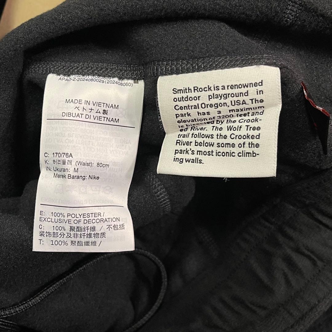 パンツ Nike ACG TF Wolf Tree Pant HV1124-010 M