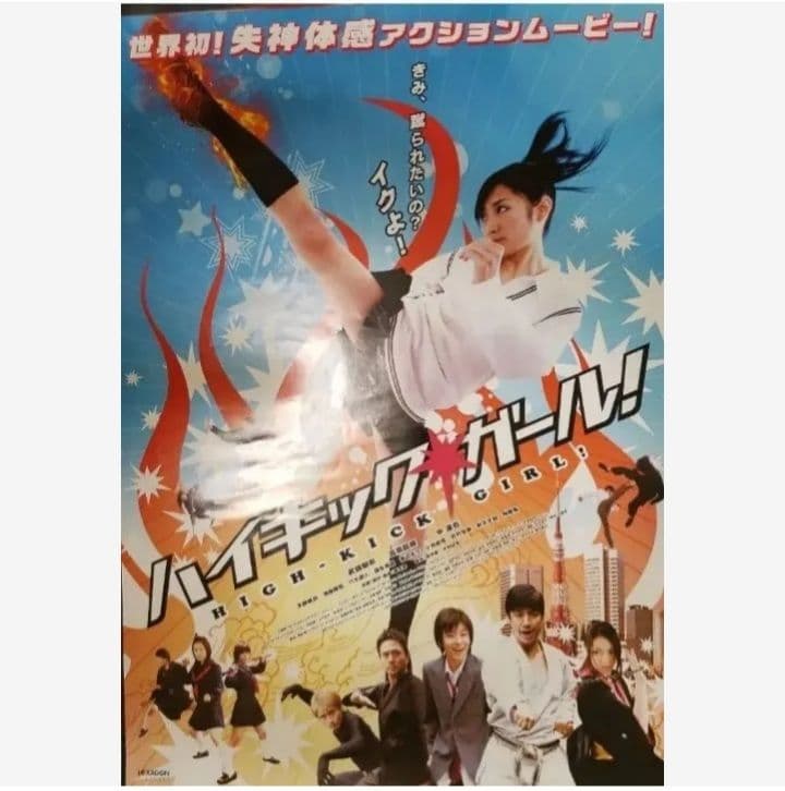 ハイキック・ガール　DVD & ポスター セット　空手　格闘