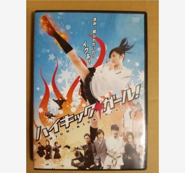 ハイキック・ガール　DVD & ポスター セット　空手　格闘