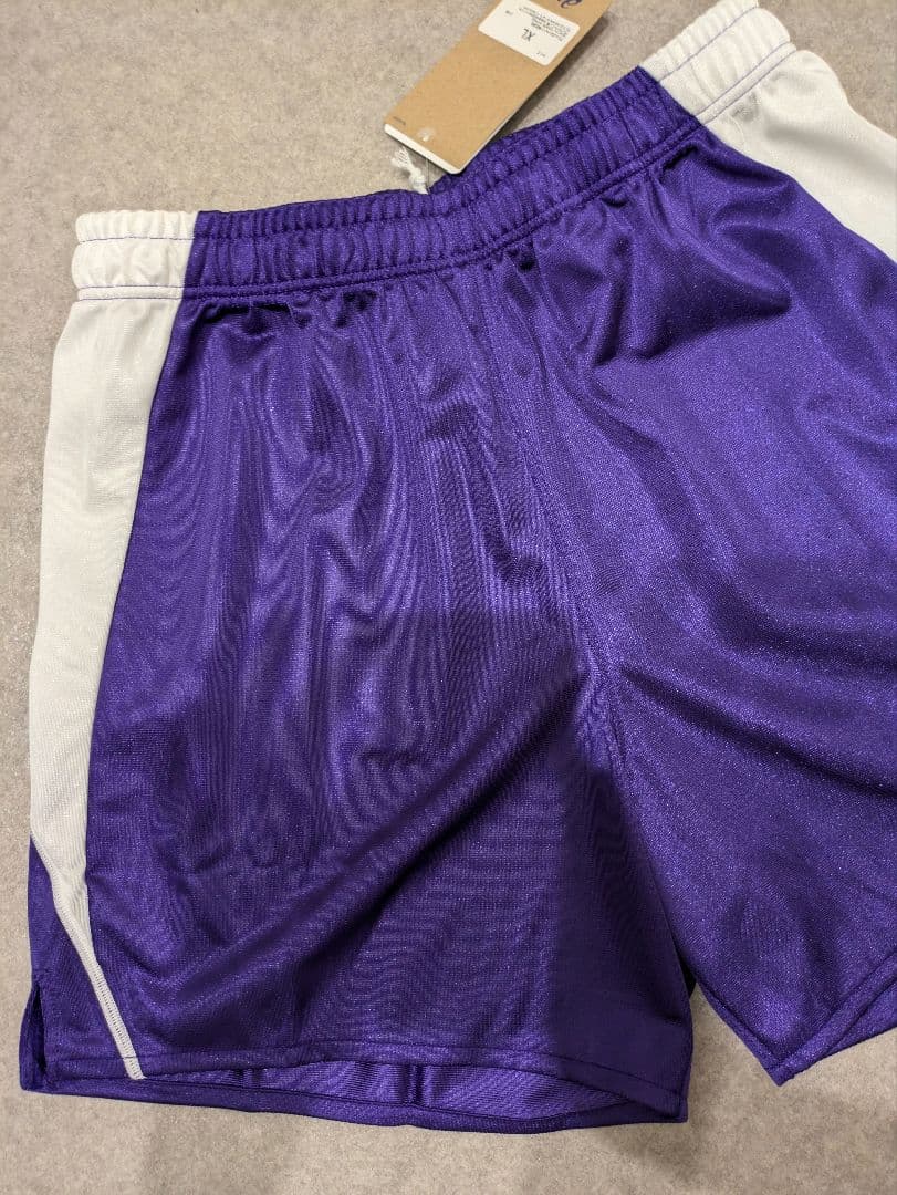 ☆レアパープル　ASICS　アシックス　バレーボール　ゲームパンツ　パンツ