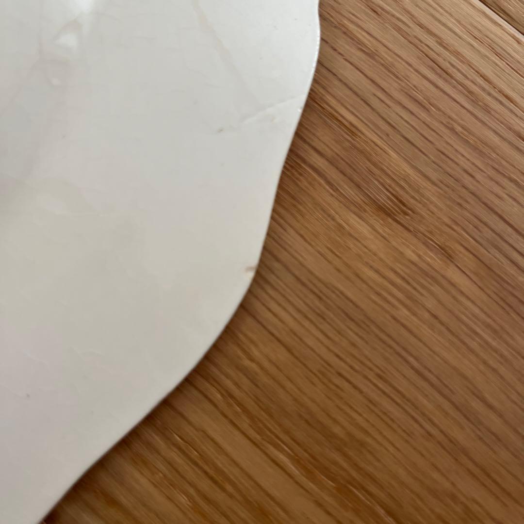 サルグミンヌ　花リム　プレート　平皿　フランスアンティーク　ヴィンテージ 2枚