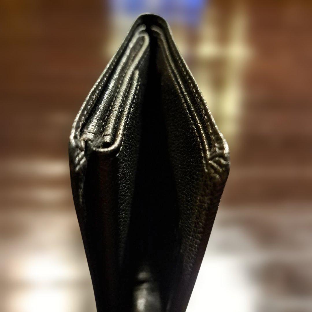 Louis Vuitton 二つ折り財布 タイガ