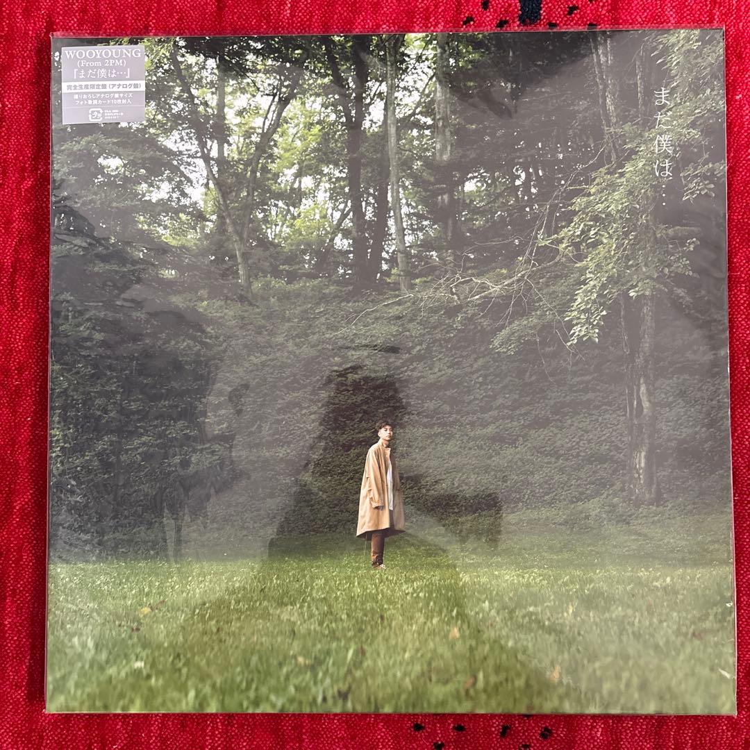 2PMウヨン 完全生産限定アナログ盤