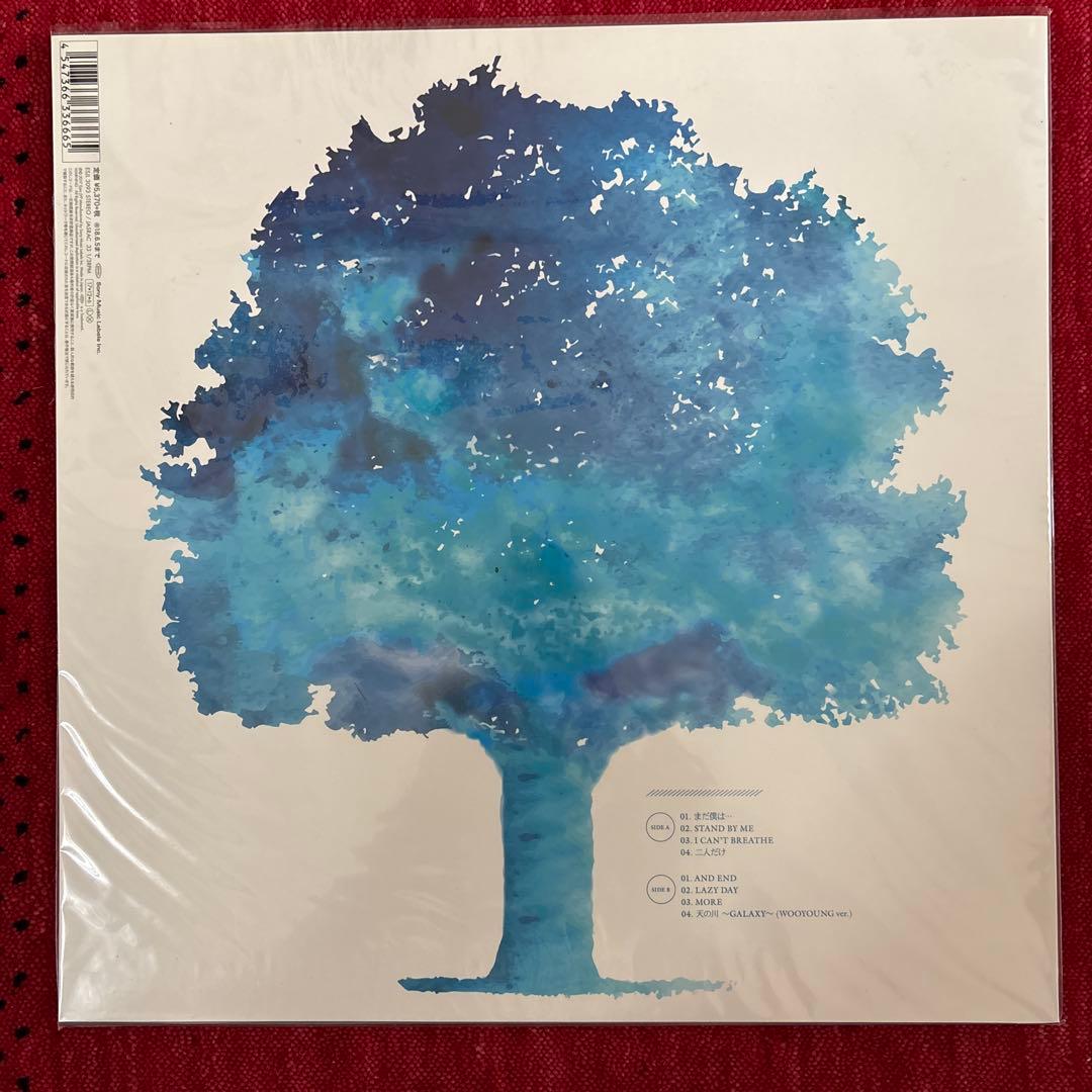 2PMウヨン 完全生産限定アナログ盤