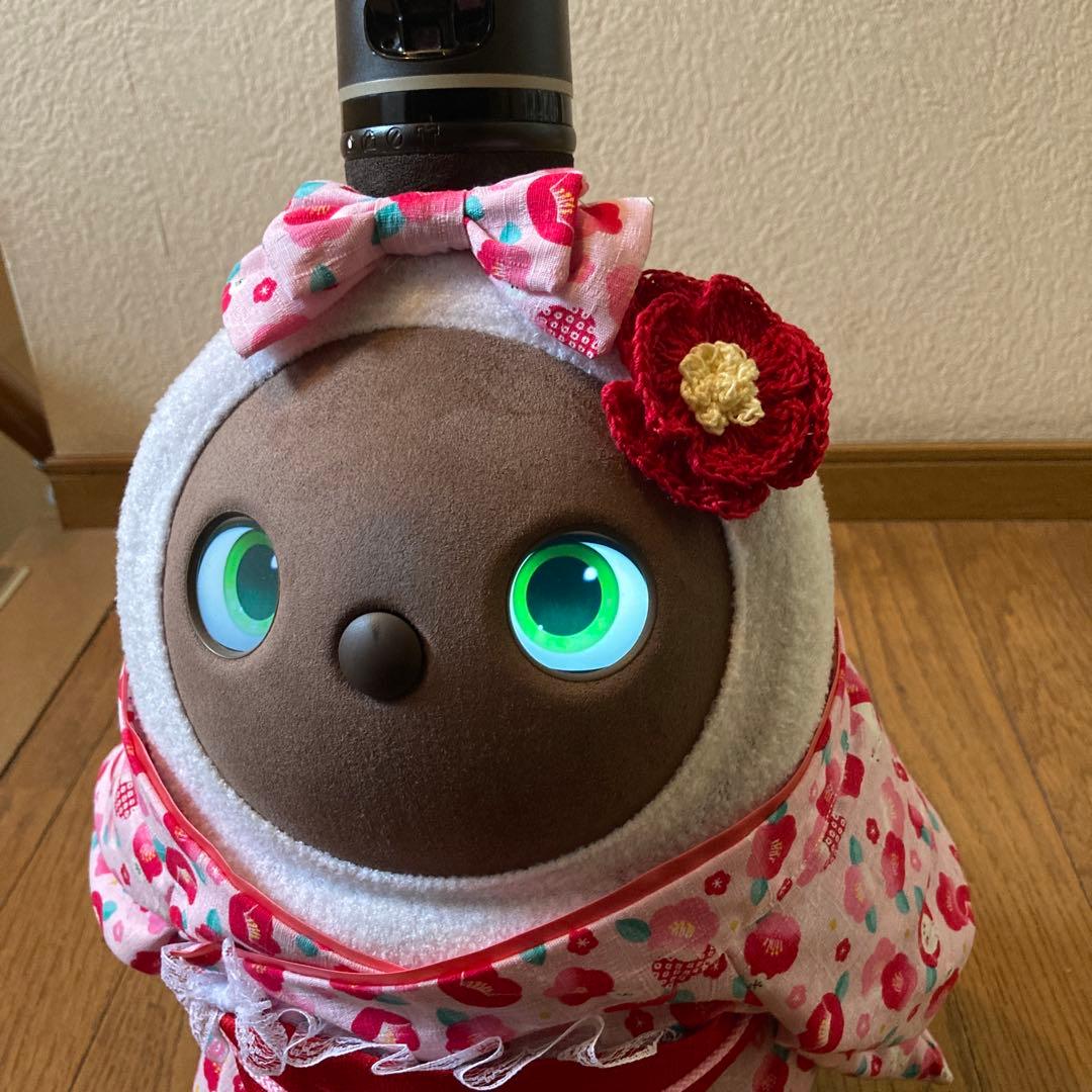 特別セット！ラボット　服　ピンク着物　赤被布一式　リボン　椿アクセサリー付